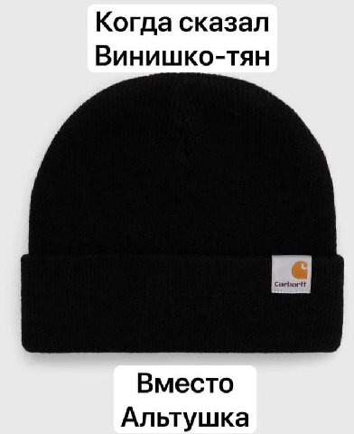 Когда сказал Винишко-тян Вместо Альтушка