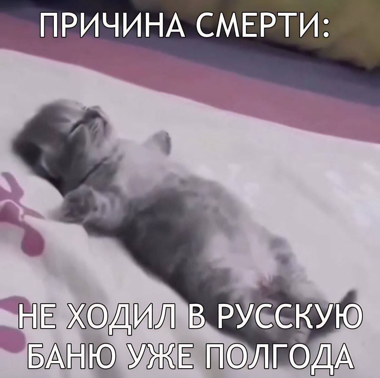 ПРИЧИНА СМЕРТИ НЕ ХОДИЛ В РУССКУЮ БАНЮ УЖЕ ПОЛГОДА
