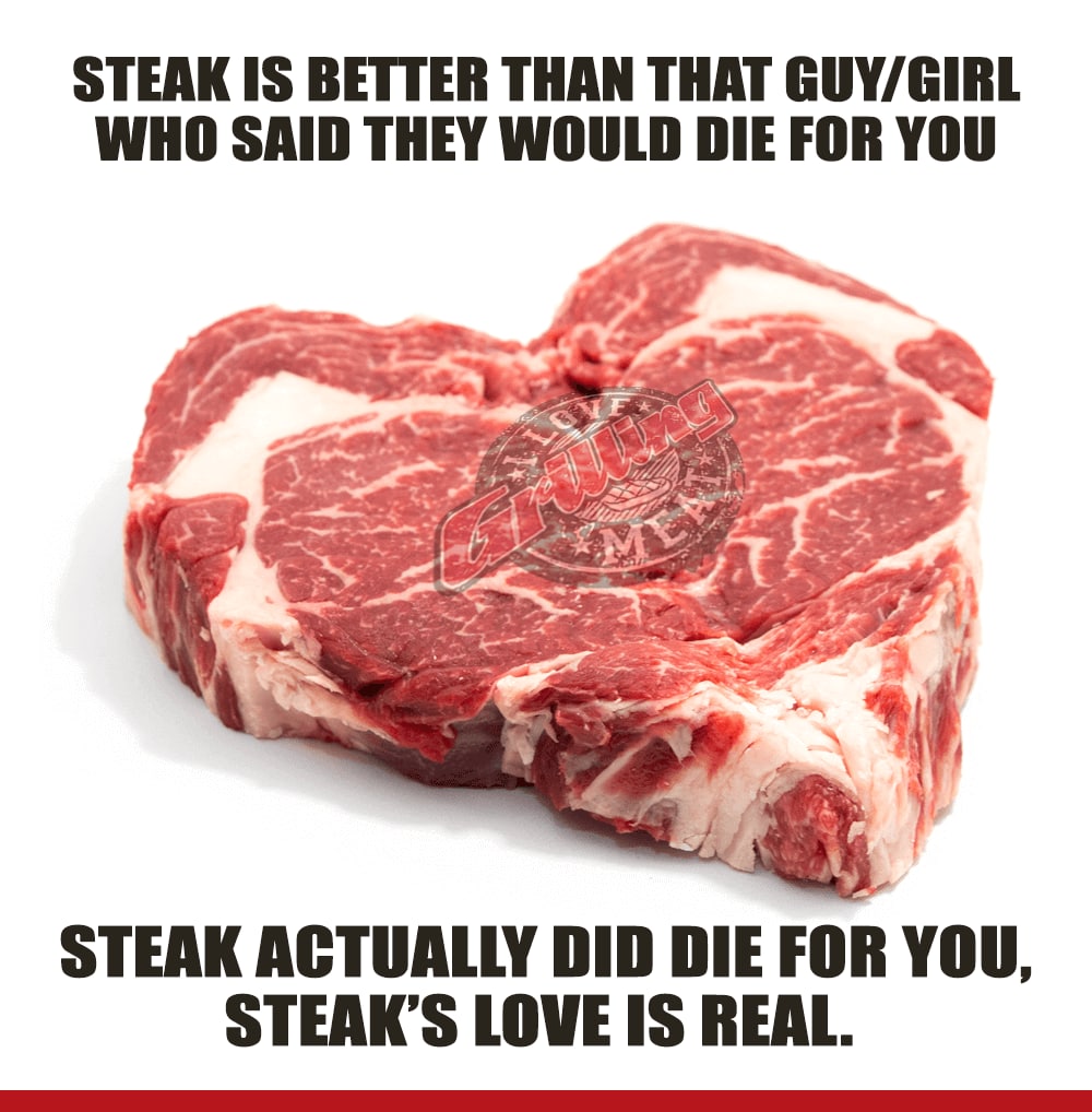 STEAK IS BETTER THAN THAT GUY/GIRL WHO SAID THEY WOULD DIE FOR YOU STEAK ACTUALLY DID DIE FOR You, STEAK’S LOVE IS REAL