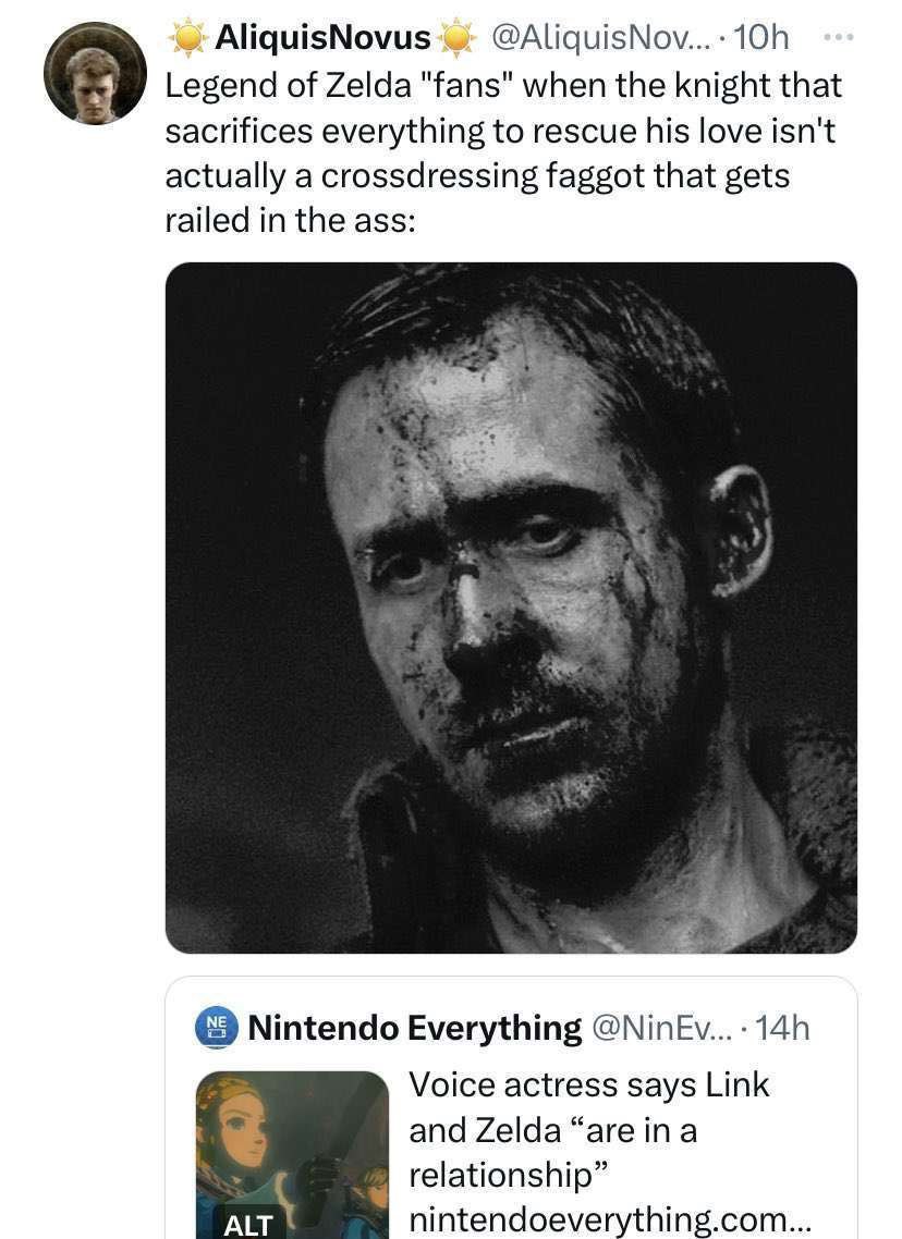 AliquisNovus Legend of Zelda "fans" when the knight that sacrifices everything to rescue his love isn't actually a crossdressing faggot that gets railed in the ass: Nintendo Everything Voice actress s