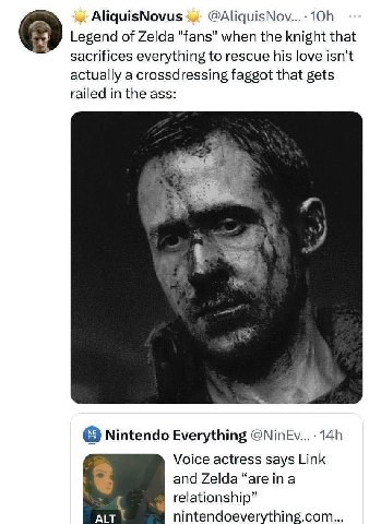 AliquisNovus Legend of Zelda "fans" when the knight that sacrifices everything to rescue his love isn't actually a crossdressing faggot that gets railed in the ass: Nintendo Everything Voice actress s