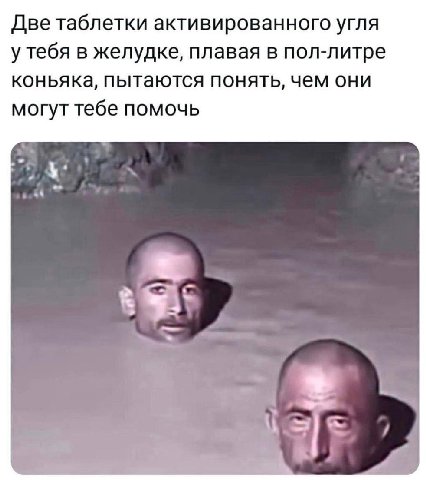Две таблетки активированного угля у тебя в желудке, плавая в пол-литре коньяка, пытаются понять, чем они могут тебе помочь