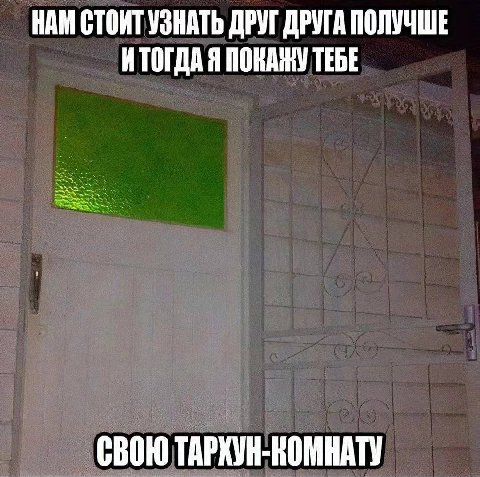 НАМ СТОИТ УЗНАТЬ ДРУГ ДРУГА ПОЛУЧШЕ ИТОГДА Я ПОНАНУ ТЕБЕ СВОЮ ТАРХУН-НОМНАТУ