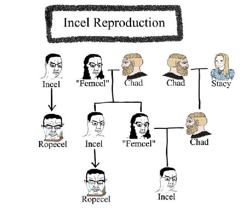 Incel "Femcel" Chad Cha {асу 4 Incel "Femcel" Chad Ropecel у Incel