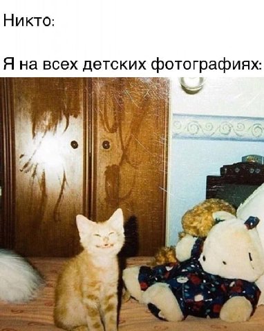 Никто: Я на всех детских фотографиях: