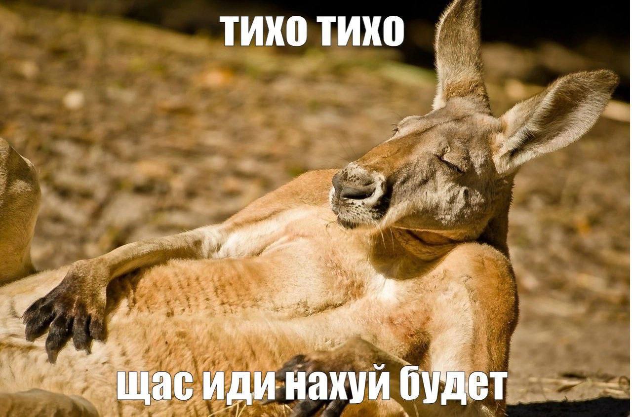 лимонад мохито 1 литр