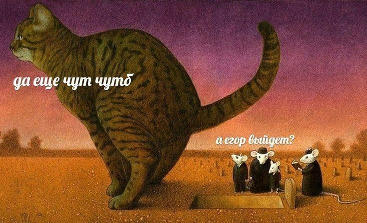 даеще чут чутд аегор в
