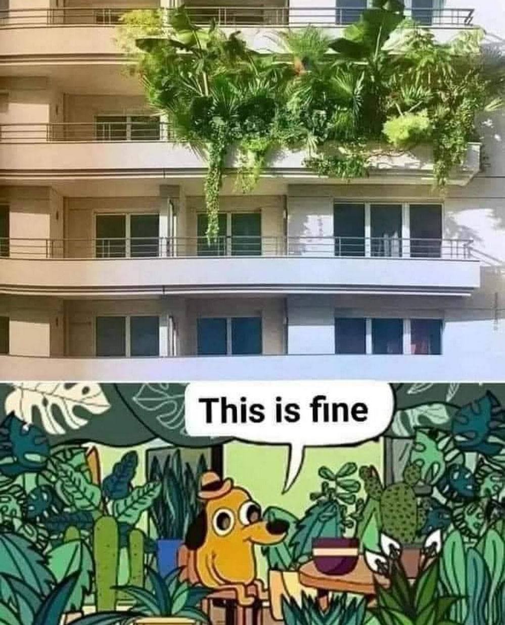 This is fine 4
