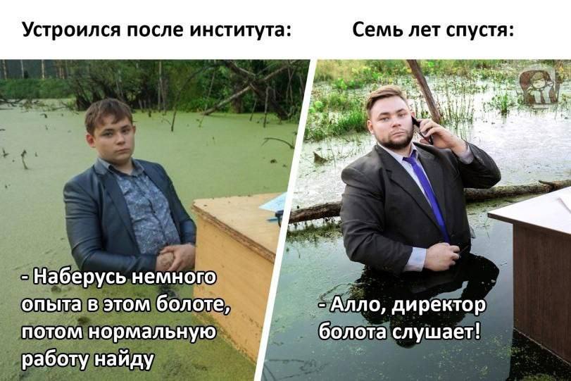 Устроился после института: Семь лет спустя: 4 Наберусь немного опыта в этом болоте, Алло, директор потом нормальную болота слушает! работу найду
