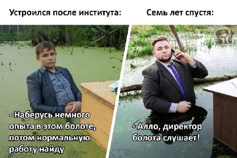 Устроился после института: Семь лет спустя: 4 Наберусь немного опыта в этом болоте, Алло, директор потом нормальную болота слушает! работу найду