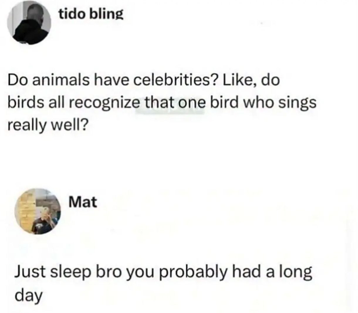 a tido bling animals have celebrities? Like, birds all recognize that one bird who sings really well? Mat Just sleep bro you probably had a long day