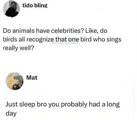 a tido bling animals have celebrities? Like, birds all recognize that one bird who sings really well? Mat Just sleep bro you probably had a long day