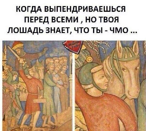 КОГДА ВЫПЕНДРИВАЕШЬСЯ ПЕРЕД ВСЕМИ НО ТВОЯ ЛОШАДЬ ЗНАЕТ, ЧТО ТЫ -ЧМО IN&