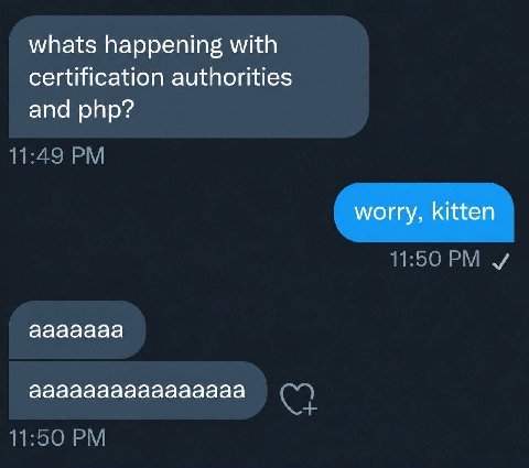 whats happening with certification authorities and php? worry, kitten ааааааа аааааааааааааааа