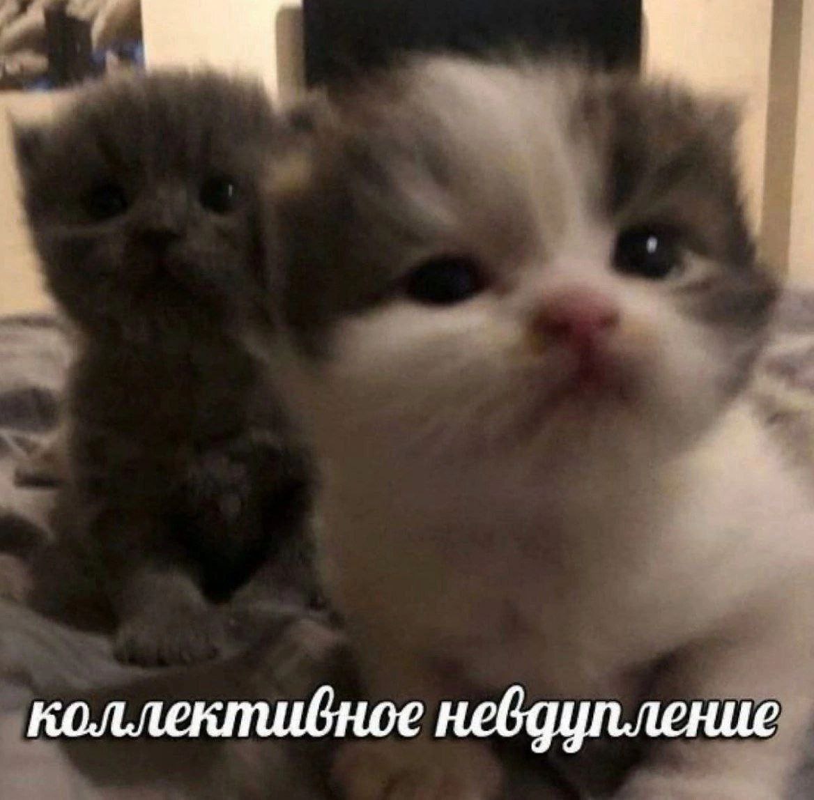 невдупление