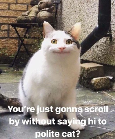 в A у У. You're just доппа зсгой without saying to 2 роще cat:
