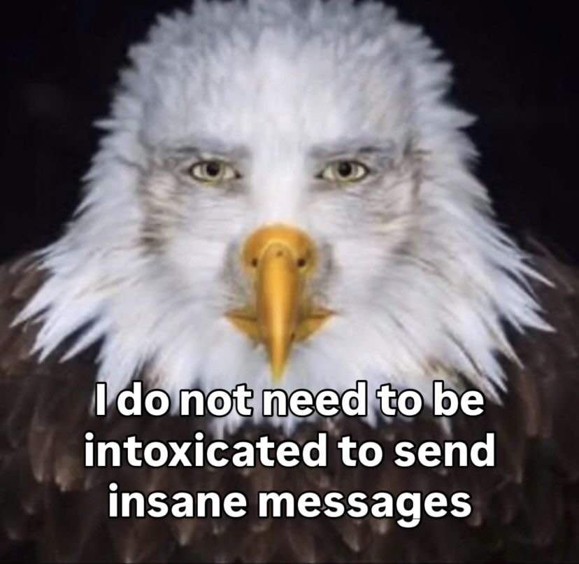intoxicated to send insane messages