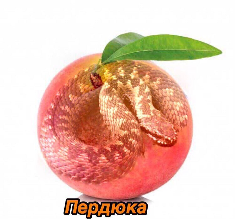4 у 1