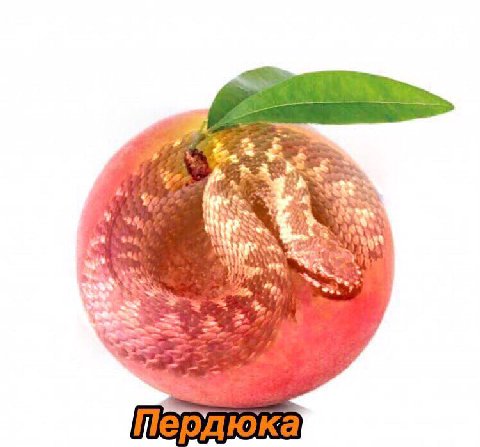 4 у 1