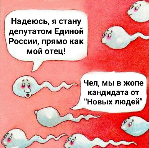 Надеюсь, я стану депутатом Единой России, прямо как мой отец! Чел, мы в жопе кандидата от "Новых людей"