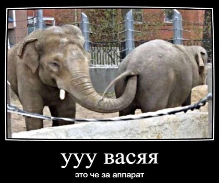 At ууу васяя это че за аппарат