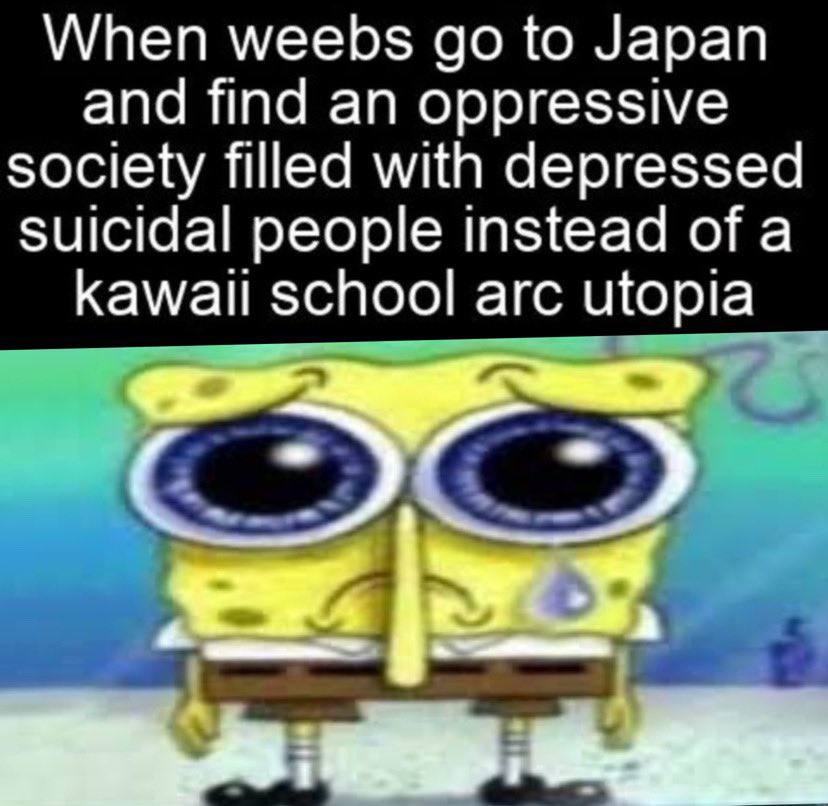 When weebs to Japan and find an oppressive society filled with depressed suicidal people instead of a Кам/ай school arc utopia 7°