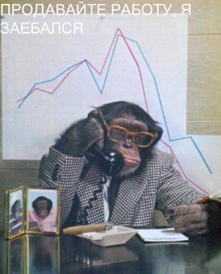 a ПРОДАВАЙТЕ AVE 7