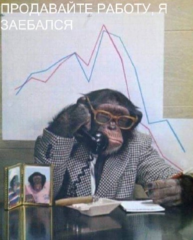 a ПРОДАВАЙТЕ AVE 7