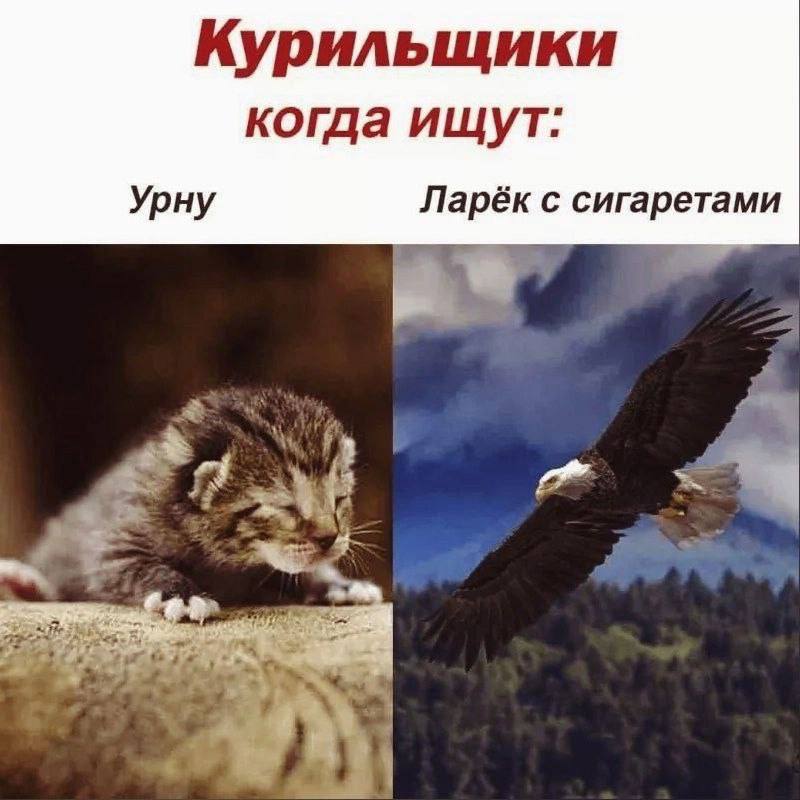 Курильщики когда ищут: Урну Ларёк с сигаретами