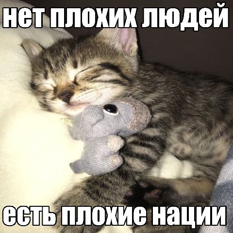 нетплохих людей ЗА WEE CCT охиенаци