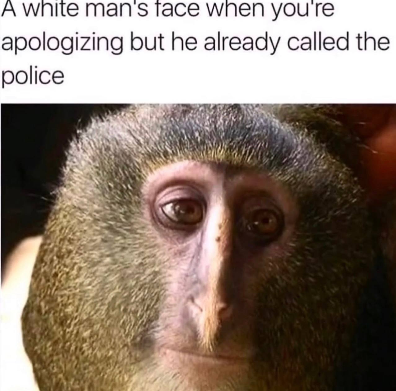 Awnite mans тасе wnen you apologizing but he already called the police Wis 269 a Wary