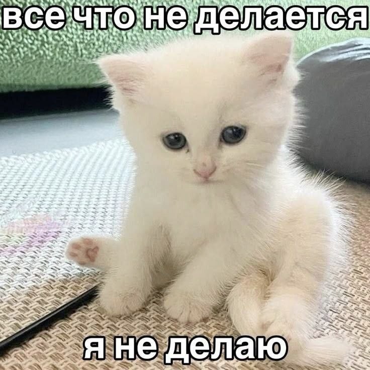1 всечтонеделаелтся ‘Ver 4 у 4 i AS Я i А