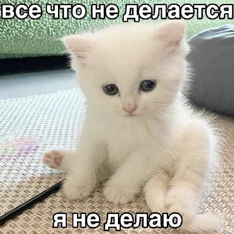 1 всечтонеделаелтся ‘Ver 4 у 4 i AS Я i А