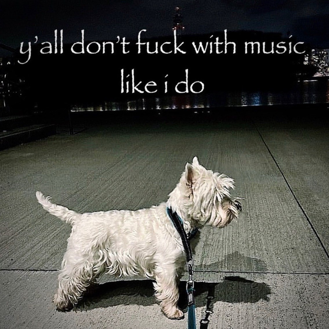 don’t fuck with MUSIC,