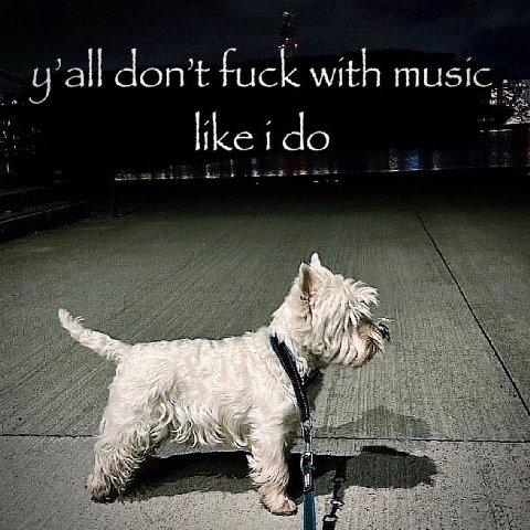 don’t fuck with MUSIC,