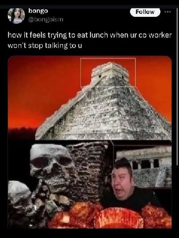 bongo @bongoism how it feels trying to eat lunch when worker won’t stop talking to и «у