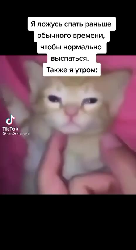 Я ложусь спать раньше обычного времени, чтобы нормально выспаться. Также я утром:
