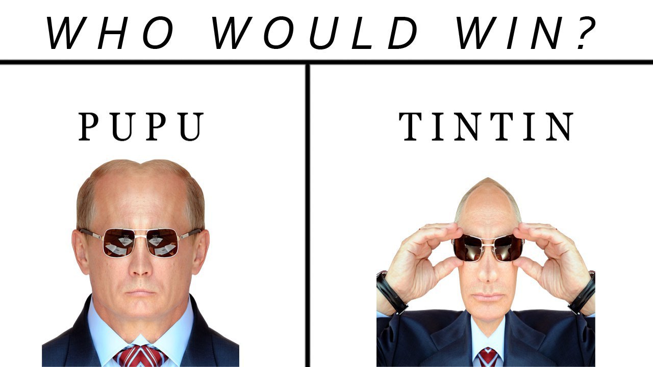 WHO WOULD WIN? PUPU TINTIN