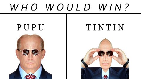 WHO WOULD WIN? PUPU TINTIN