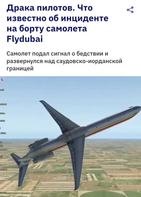 Драка пилотов. Что < известно об инциденте на борту самолета Самолет подал сигнал о бедствии и развернулся над саудовско-иорданской границей