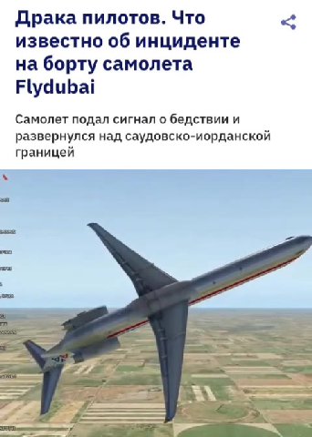 Драка пилотов. Что < известно об инциденте на борту самолета Самолет подал сигнал о бедствии и развернулся над саудовско-иорданской границей