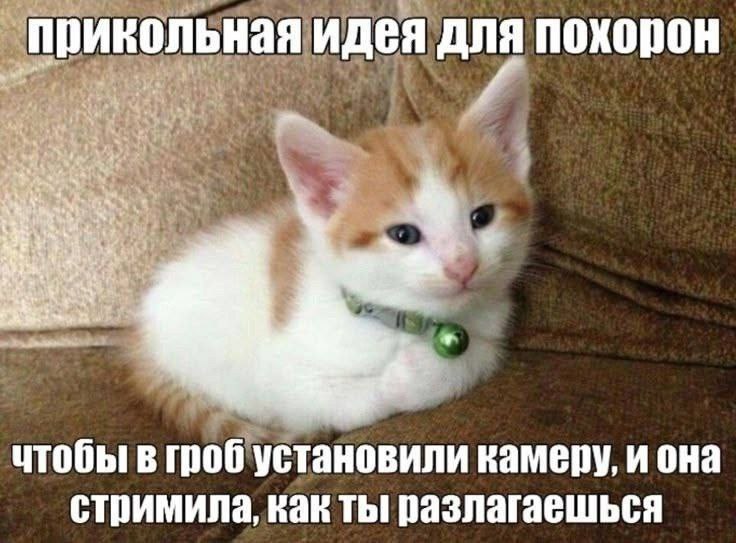 прикольная идея для похорон чтобы в гроб установили камеру, иона стримила, как ты! разлагаешься