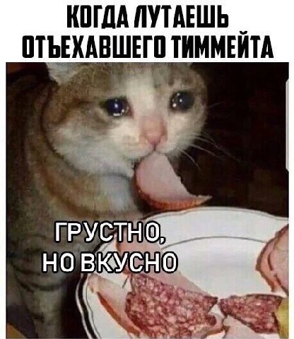 КОГДА ЛУТАЕШЬ ОТЪЕХАВШЕГО ТИММЕЙТА ВКУСНО