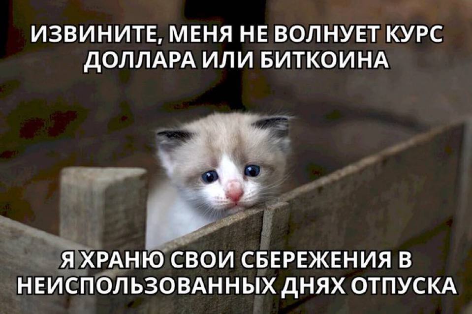 ИЗВИНИТЕ, МЕНЯ НЕ ВОЛНУЕТ КУРС ДОЛЛАРА ИЛИ БИТКОИНА Я ХРАНЮ СВОИ СБЕРЕЖЕНИЯ В НЕИСПОЛЬЗОВАННЫХ ДНЯХ ОТПУСКА