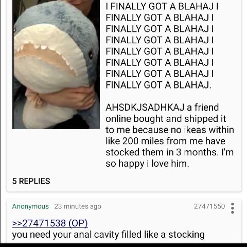FINALLY GOT А BLAHAJ FINALLY GOT A BLAHAJ FINALLY GOT A BLAHAJ FINALLY GOT A BLAHAJ FINALLY GOT A BLAHAJ FINALLY GOT A BLAHAJ FINALLY GOT A BLAHAJ FINALLY GOT A BLAHAJ. a friend online bought and ship