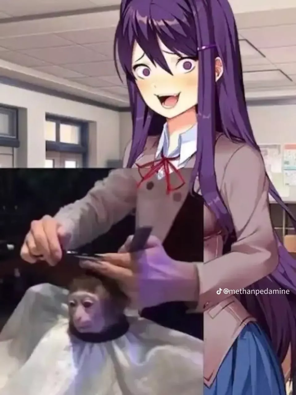 @methanpedamine