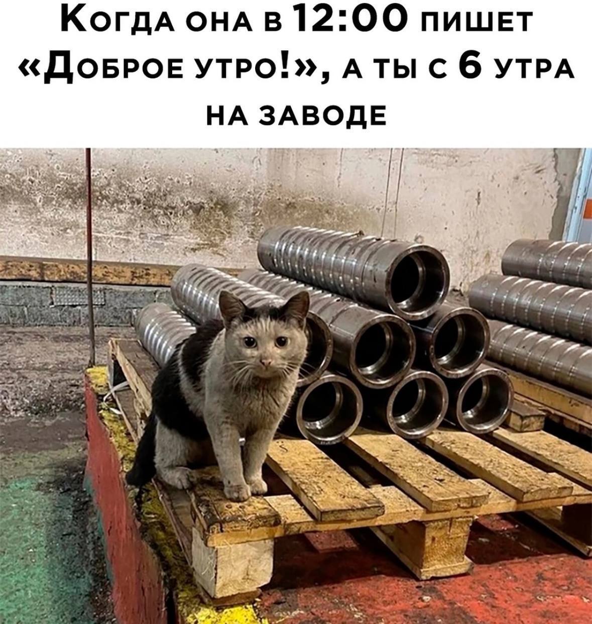 КогдА ОНА 12:00 пишет «ДОБРОЕ АТЫ С 6 УТРА НА ЗАВОДЕ