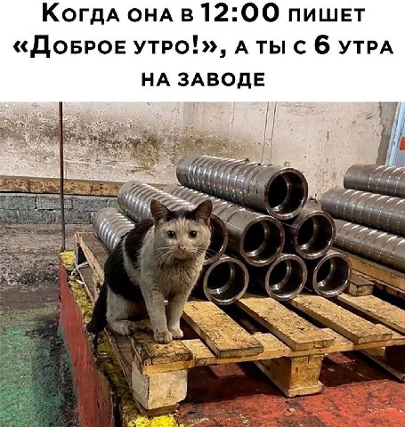 КогдА ОНА 12:00 пишет «ДОБРОЕ АТЫ С 6 УТРА НА ЗАВОДЕ