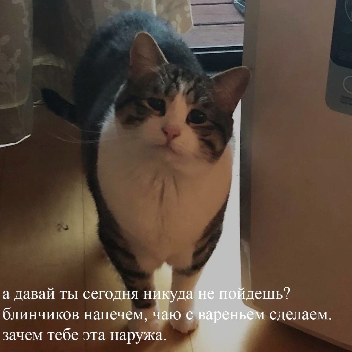 а давай ты сегодня никуда не пойдешь? блинчиков напечем, чаю с вареньем сделаем. зачем тебе эта наружа.