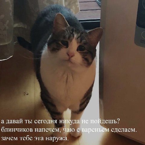 а давай ты сегодня никуда не пойдешь? блинчиков напечем, чаю с вареньем сделаем. зачем тебе эта наружа.